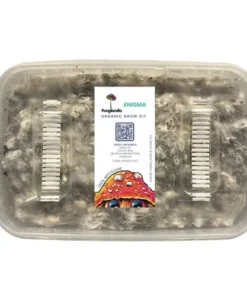 Bluey Vuitton Sigh Magic Pillendose